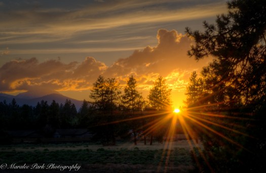 Nature-2998July 17, 2016And2more