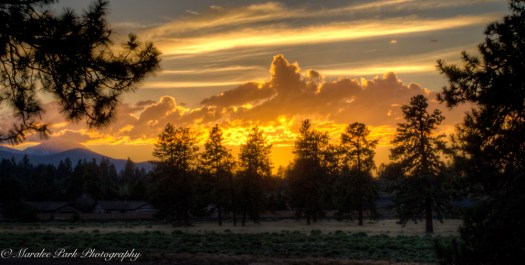 Nature-3010July 17, 2016And2more