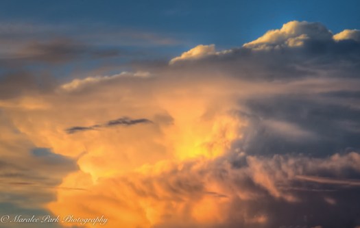 Nature-3022July 17, 2016And2more-2