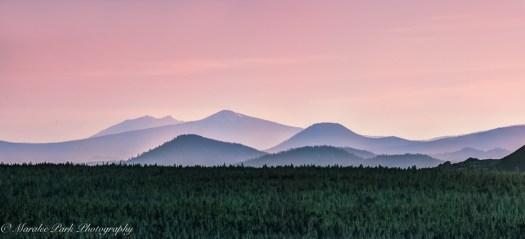 Maralee_Park_120309_18753_55_57_59_61-2