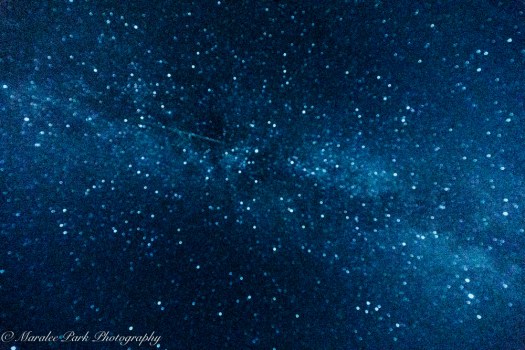 Nature04727August 12, 2016