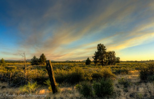 Nature04749August 17, 2016And2more