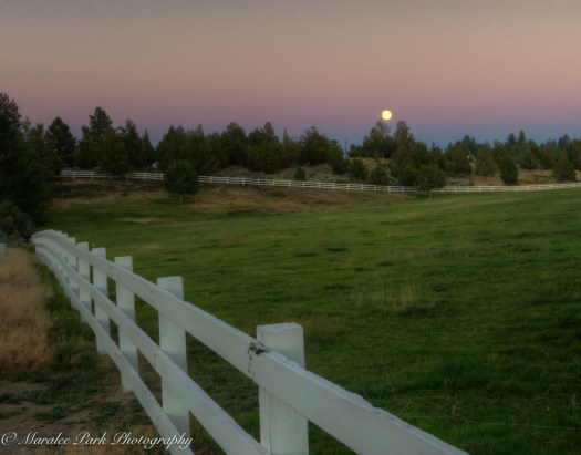 Nature04796August 17, 2016And2more-2