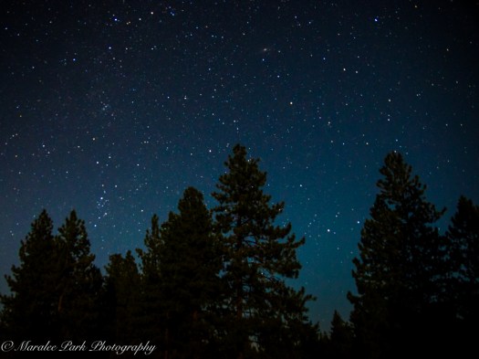 Nature3579August 11, 2016