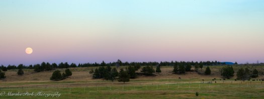 Nature4052August 17, 2016And2more-2