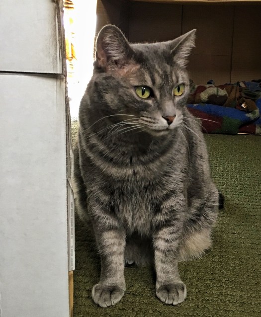 Processed with Snapseed.