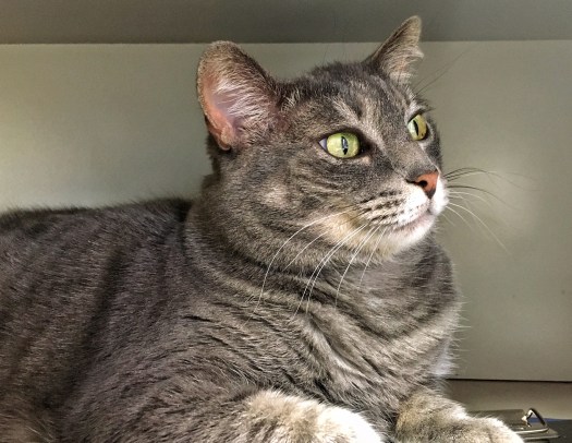 Processed with Snapseed.