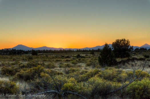 nature05105september-15-2016and2more