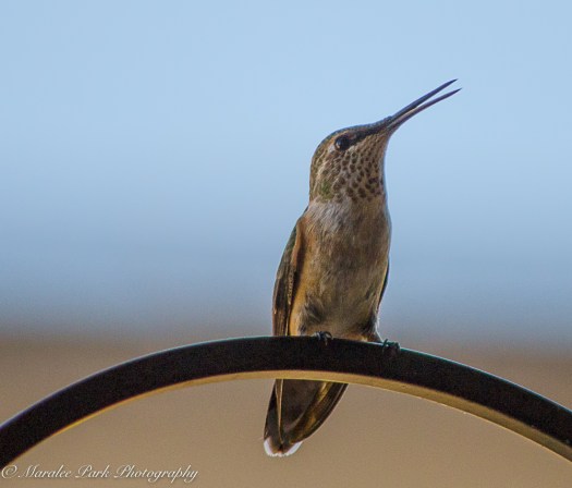 Nature4298August 20, 2016