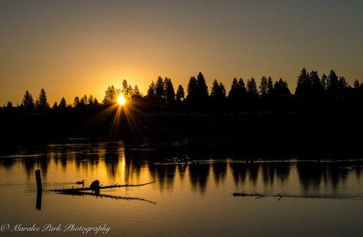 Nature4703August 28, 2016