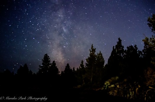 Nature4840September 02, 2016