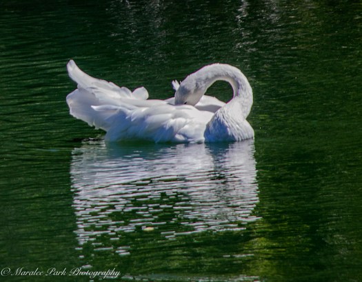 nature5087september-12-2016