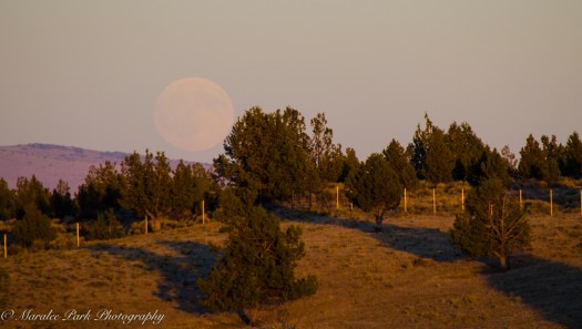 nature5122september-15-2016