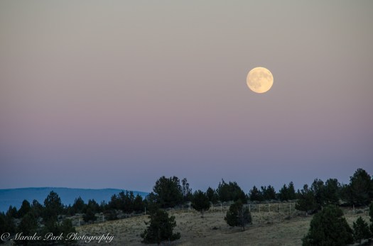 nature5145september-15-2016