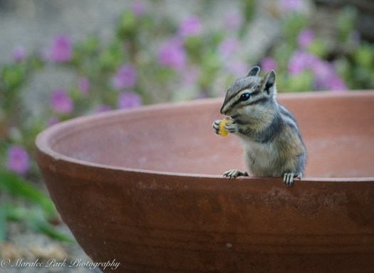 nature5159september-18-2016