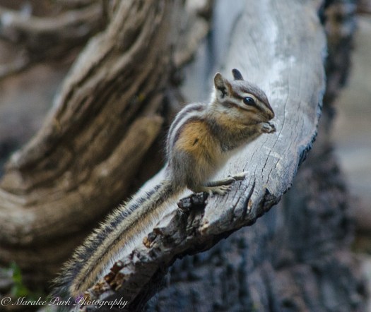 nature5180september-18-2016