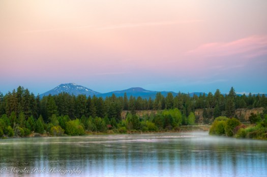 nature5202september-18-2016and2more