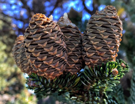 Processed with Snapseed.