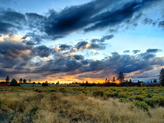 Processed with Snapseed.