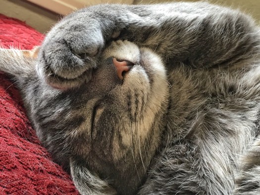 Processed with Snapseed.