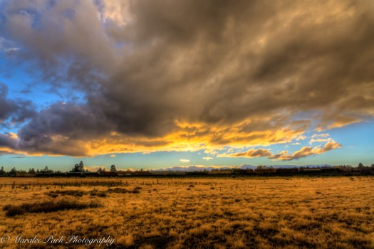 nature05606october-02-2016and2more