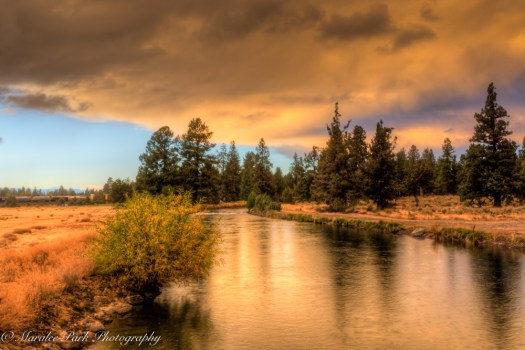 nature05615october-02-2016and2more