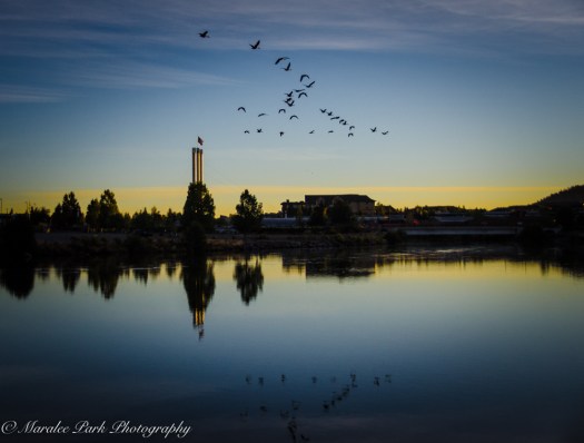 nature5020september-08-2016