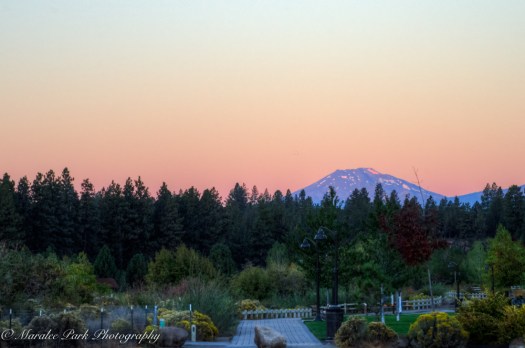 nature5307september-26-2016and2more-2