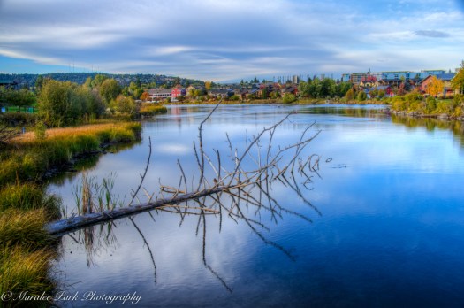 nature5421october-08-2016and2more