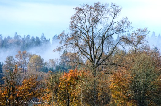 october-21-2016spartan191_2_3