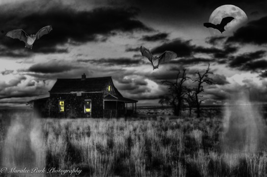 october-21-2016spartan312_3_4-2-2-2