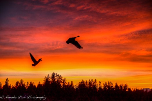 old-mill-9335february-16-2015_tonemapped