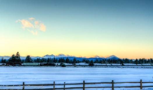 december-24-2016nature2686_7_8-2