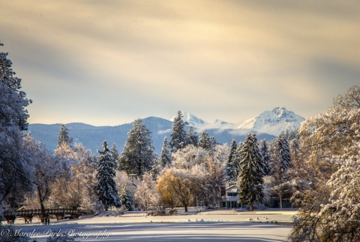 january-13-2017nature3130_2_1