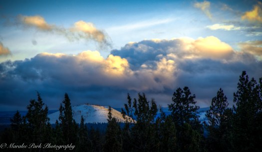 january-21-2017nature3559_8_7-2