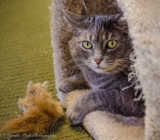 february-07-2017nature4054