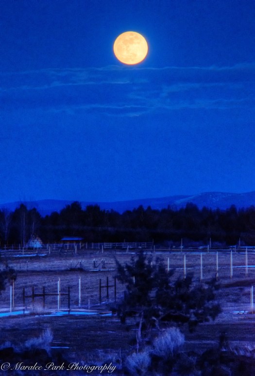 february-10-2017nature4148_7_9-2