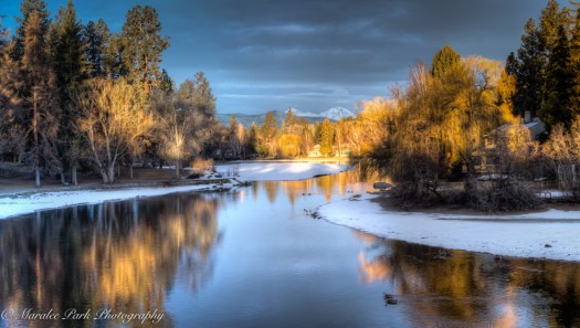 february-24-2017nature4300_2_1-2-2