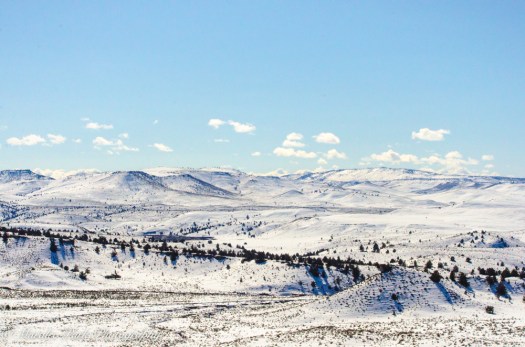 february-25-2017nature4430