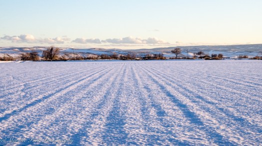 february-25-2017nature4462