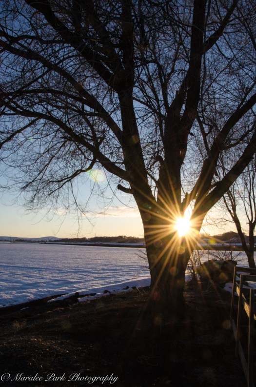 february-25-2017nature4468