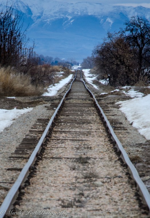 february-26-2017nature4505