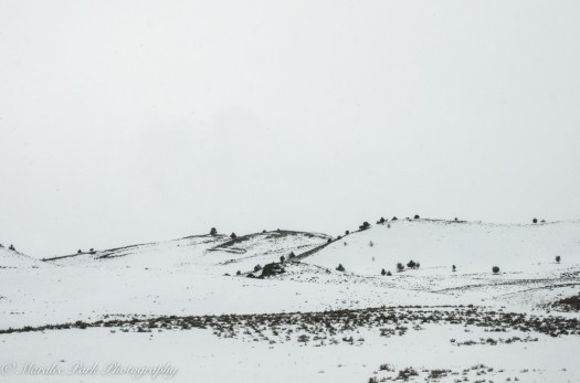 february-26-2017nature4567