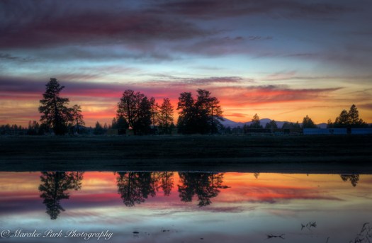 march-01-2017nature4845_6_7-2