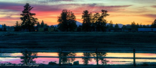 march-01-2017nature4854_5_6-2