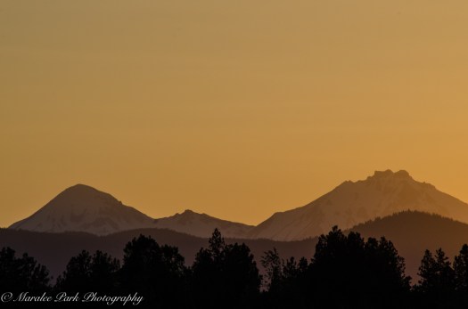 Golden Sunset Silhouette
