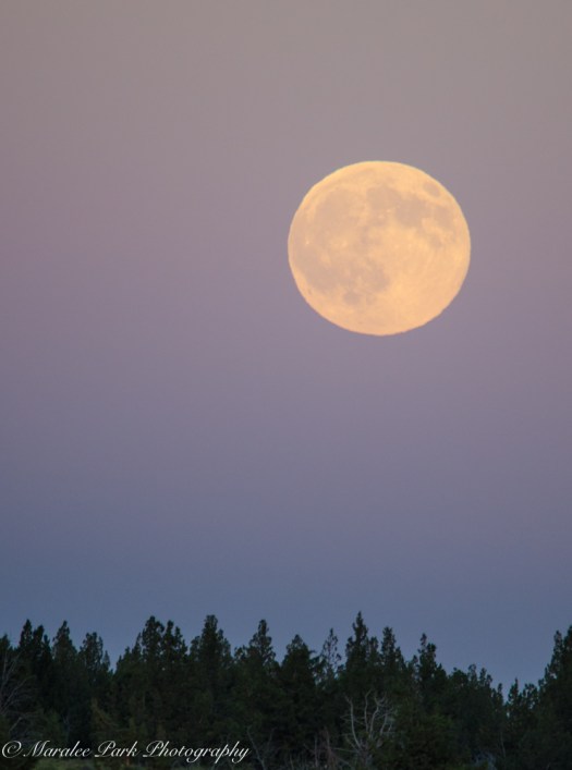 Full Buck Moon, Full Moon, 