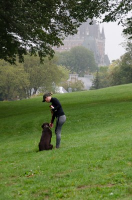 Walking Dog in Plains of Abraham Park