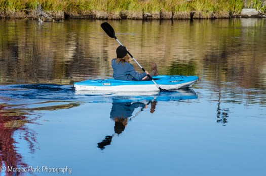 Kayaking on the River