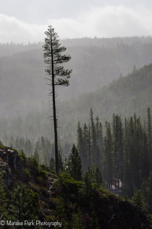 A misty day at Tumalo Falls